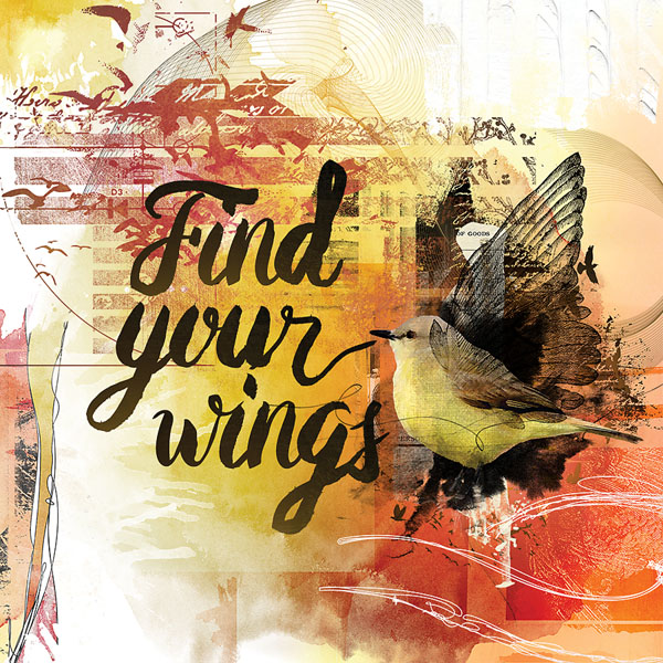 find your wings