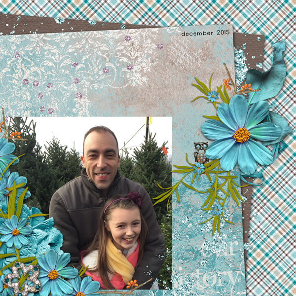finding a christmas tree