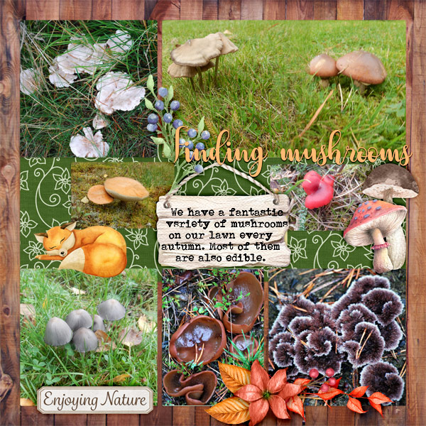 Finding-mushrooms