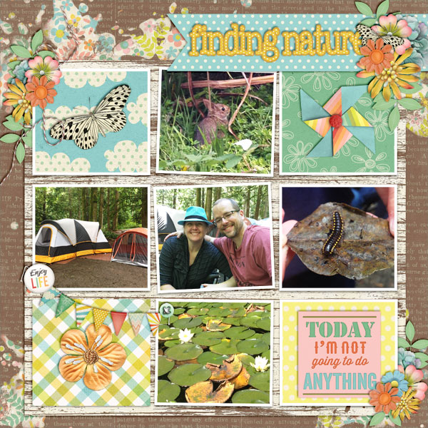 Finding Nature