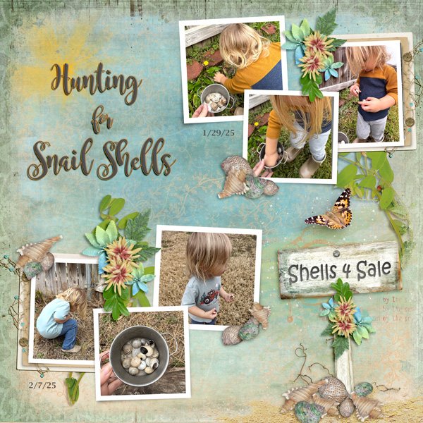 Finding Snail Shells