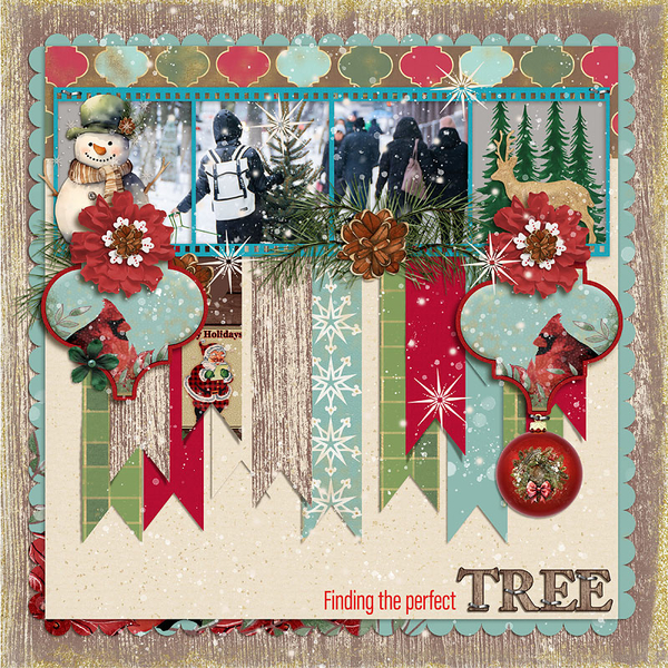 Finding The Perfect Tree