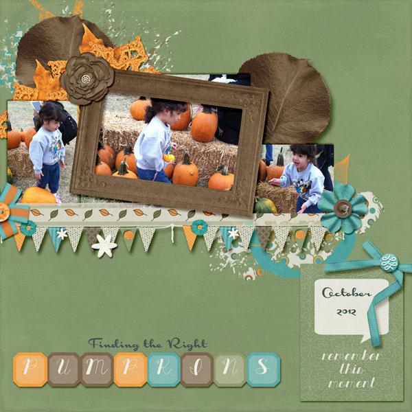 Finding the Right Pumpkin