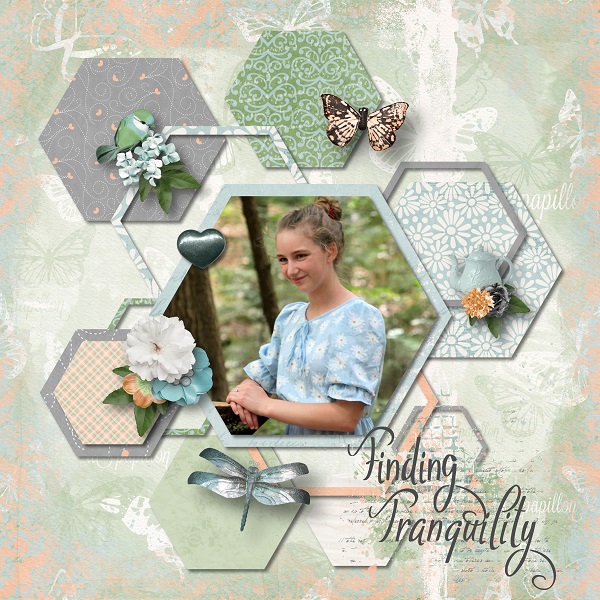 Finding Tranquility