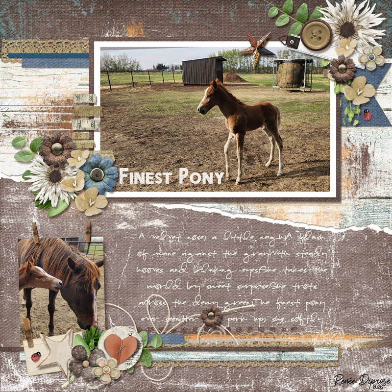 Finest Pony