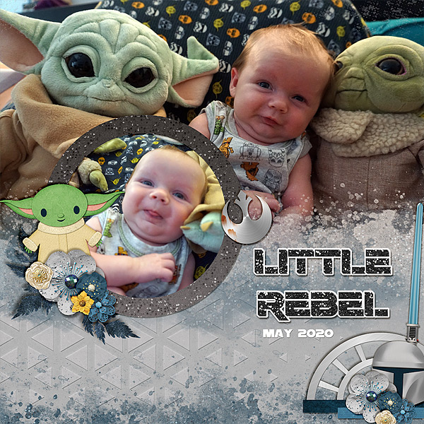finn-little-rebel-520