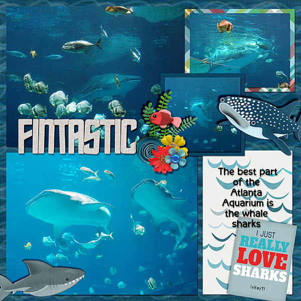 fintastic-whale-sharks