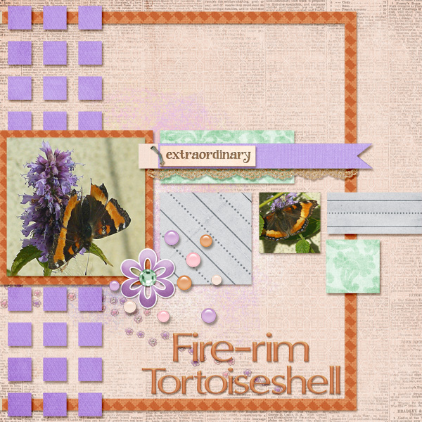 Fire-rim Tortoiseshell
