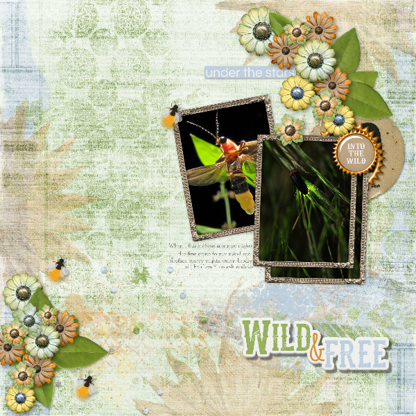 Fireflies