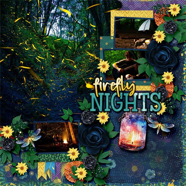 Firefly Nights
