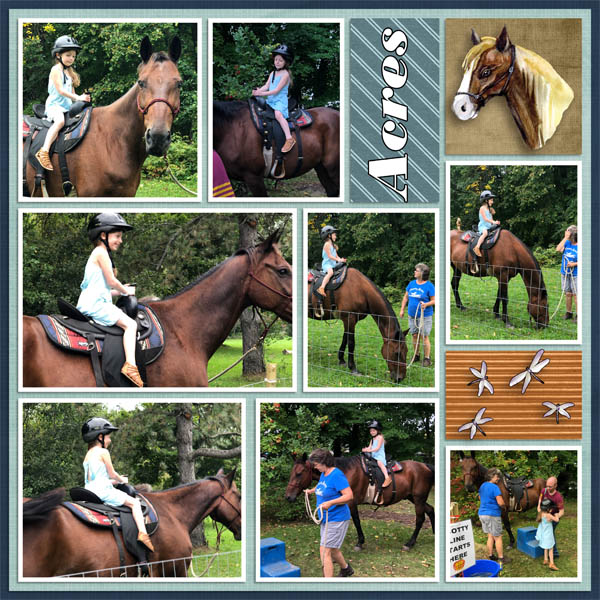 Firefly_Acres_R