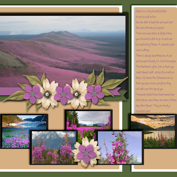 Fireweed