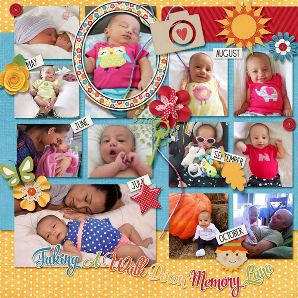 First 6 Months