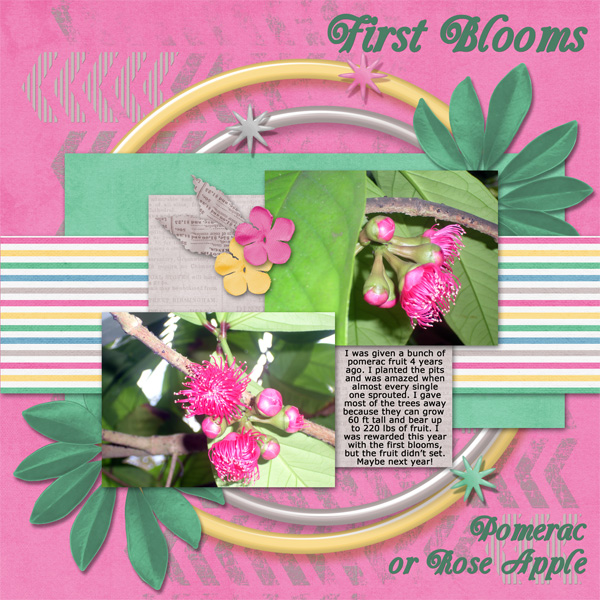 First Blooms