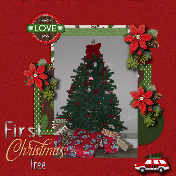 First Christmas Tree