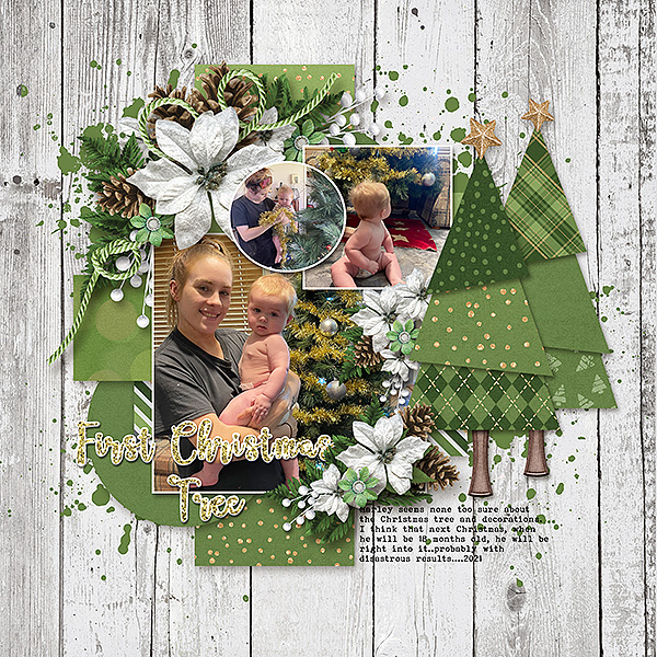 First Christmas Tree