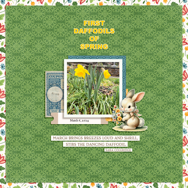 First Daffodils