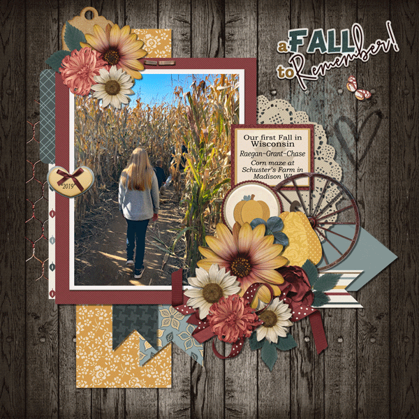 First Fall I WI