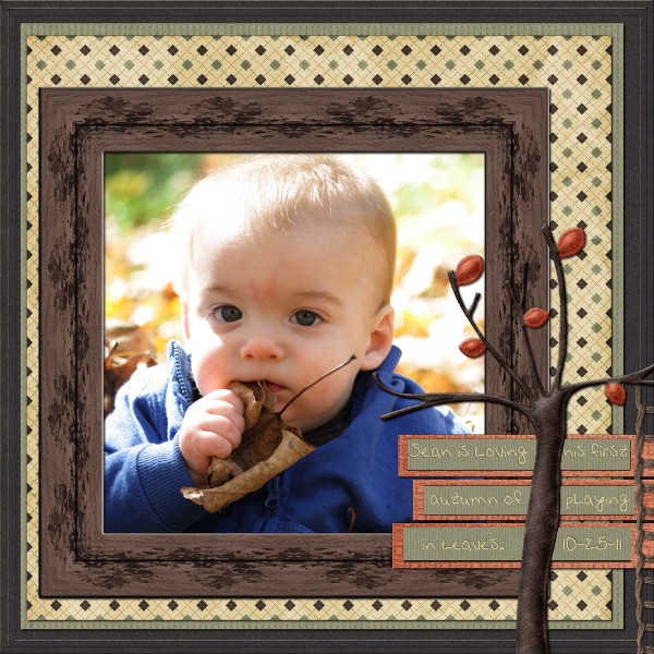 First Fall