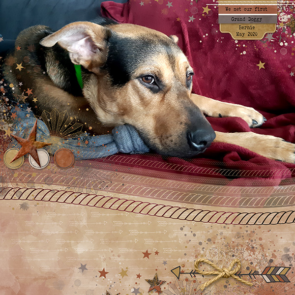 First Grand Doggy