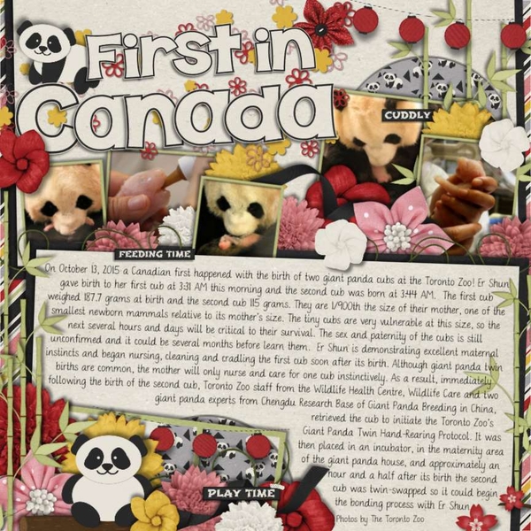 First in Canada....