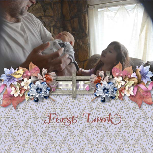First Look