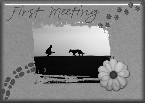 First Meeting