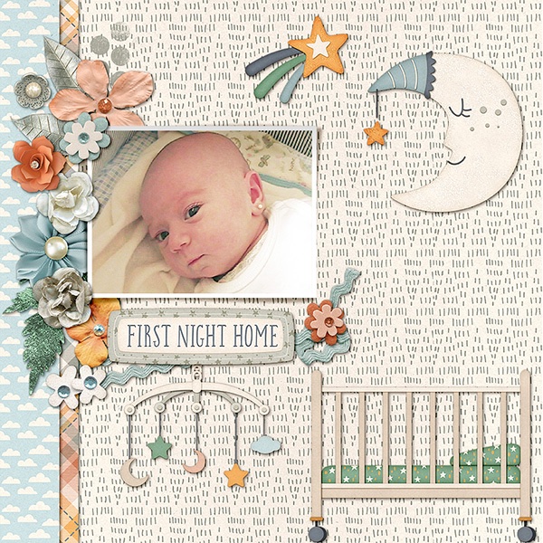 First Night Home