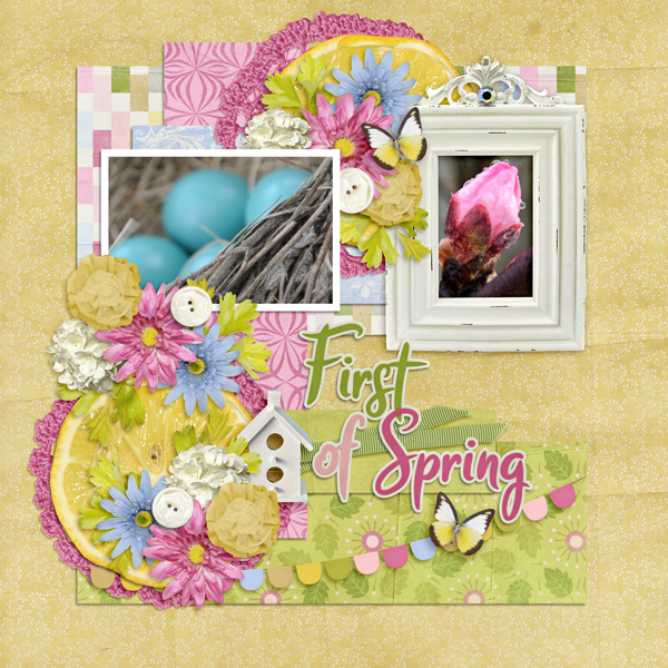 First of Spring (Tinci April 2023 Template 2)