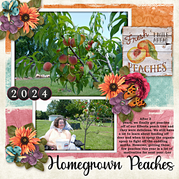First peaches off my tree