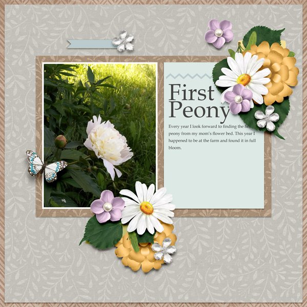 First Peony