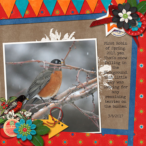 First Robin of Spring