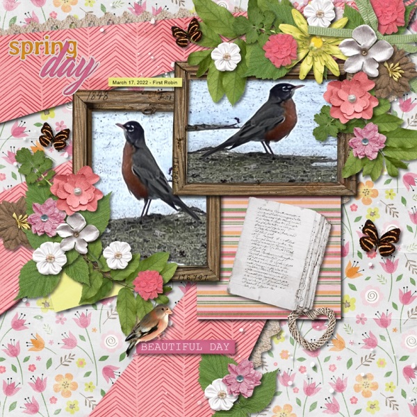 First Robins