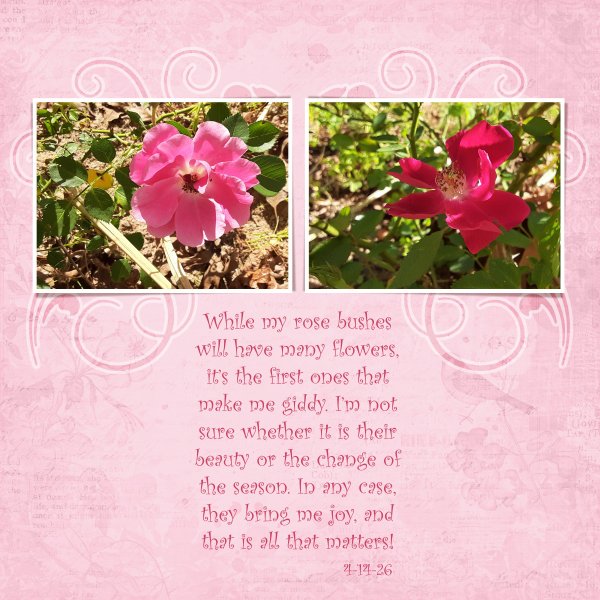 First Roses