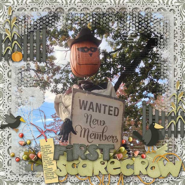 ~First Scarecrow~