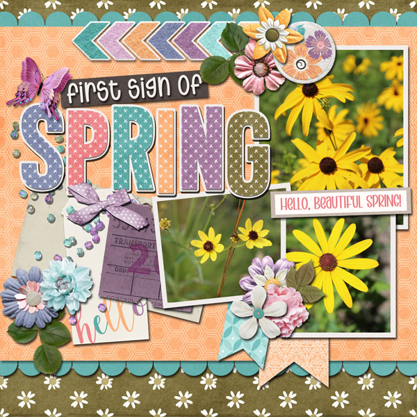 first sign of spring