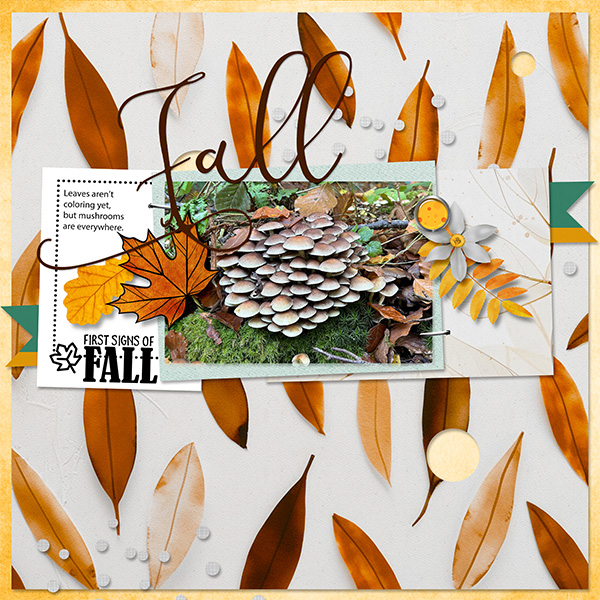 First signs of Fall