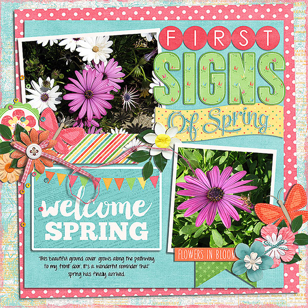 first signs of spring
