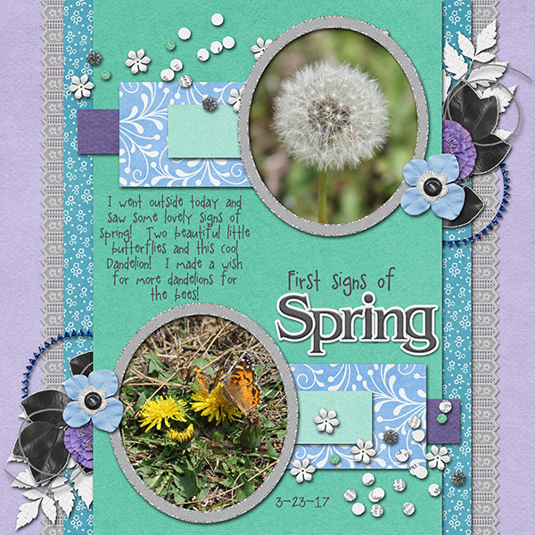 First Signs of Spring
