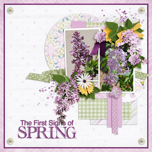 First Signs of Spring