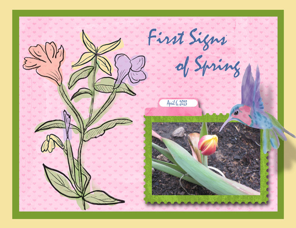 First Signs of Spring