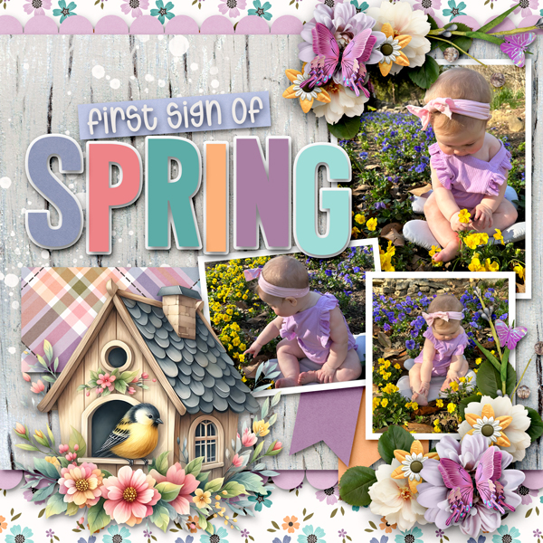 First Signs of Spring