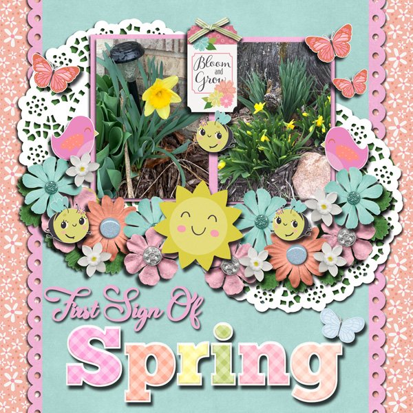 First Signs of Spring
