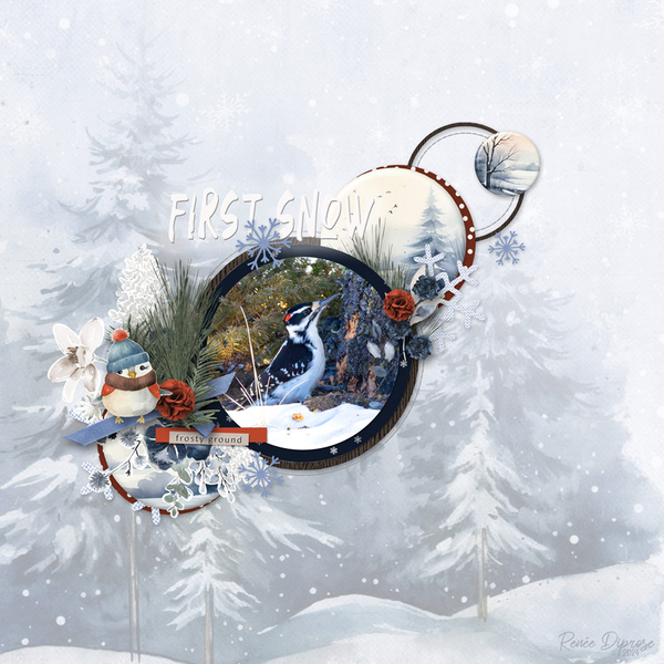 First Snow