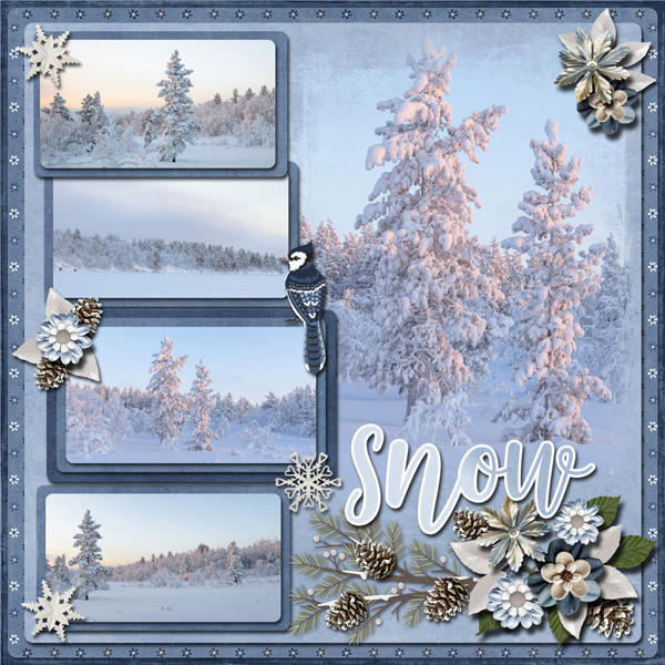 First Snow