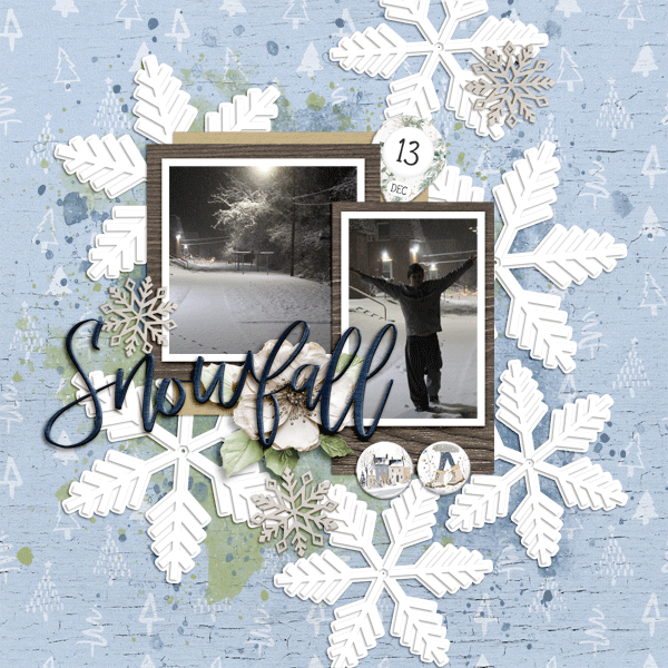 First snowfall @ our new place