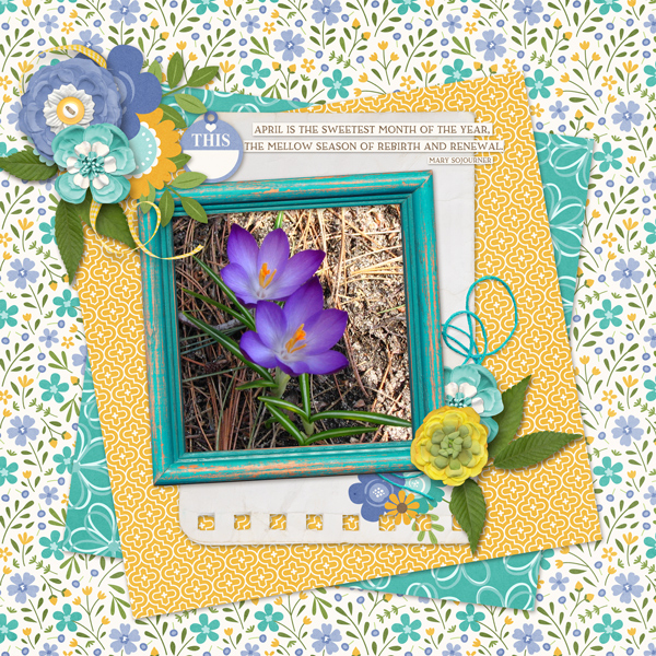 First Spring flowers