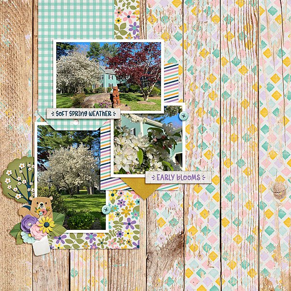 First Spring