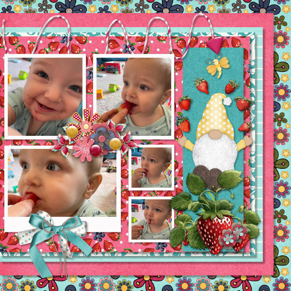 First Taste