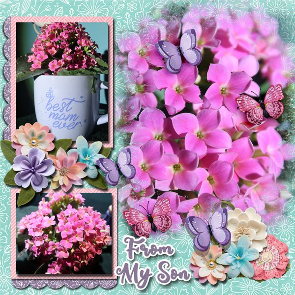 First Time Gave Me Flowers